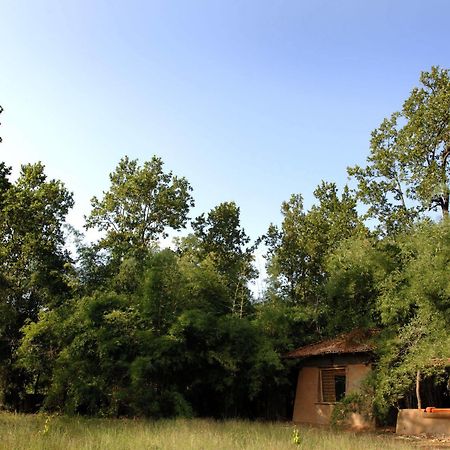 Mahua Kothi, Bandhavgarh National Park Hotel Tala  Luaran gambar